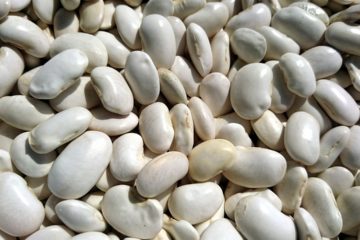 Poradnik ProstePesto. Biała fasola i jej wartość odżywcza