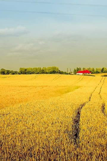 Polska kuchnia regionalna