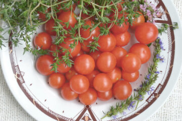 Wegańskie potrawy co poprawią koncentrację